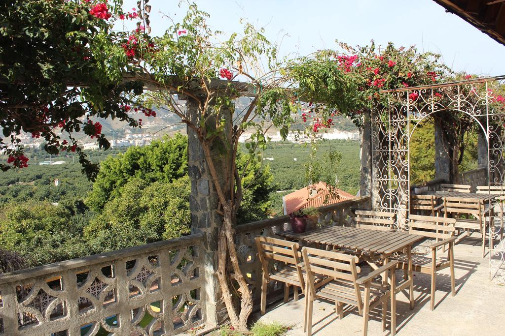 Bungalow con terraza